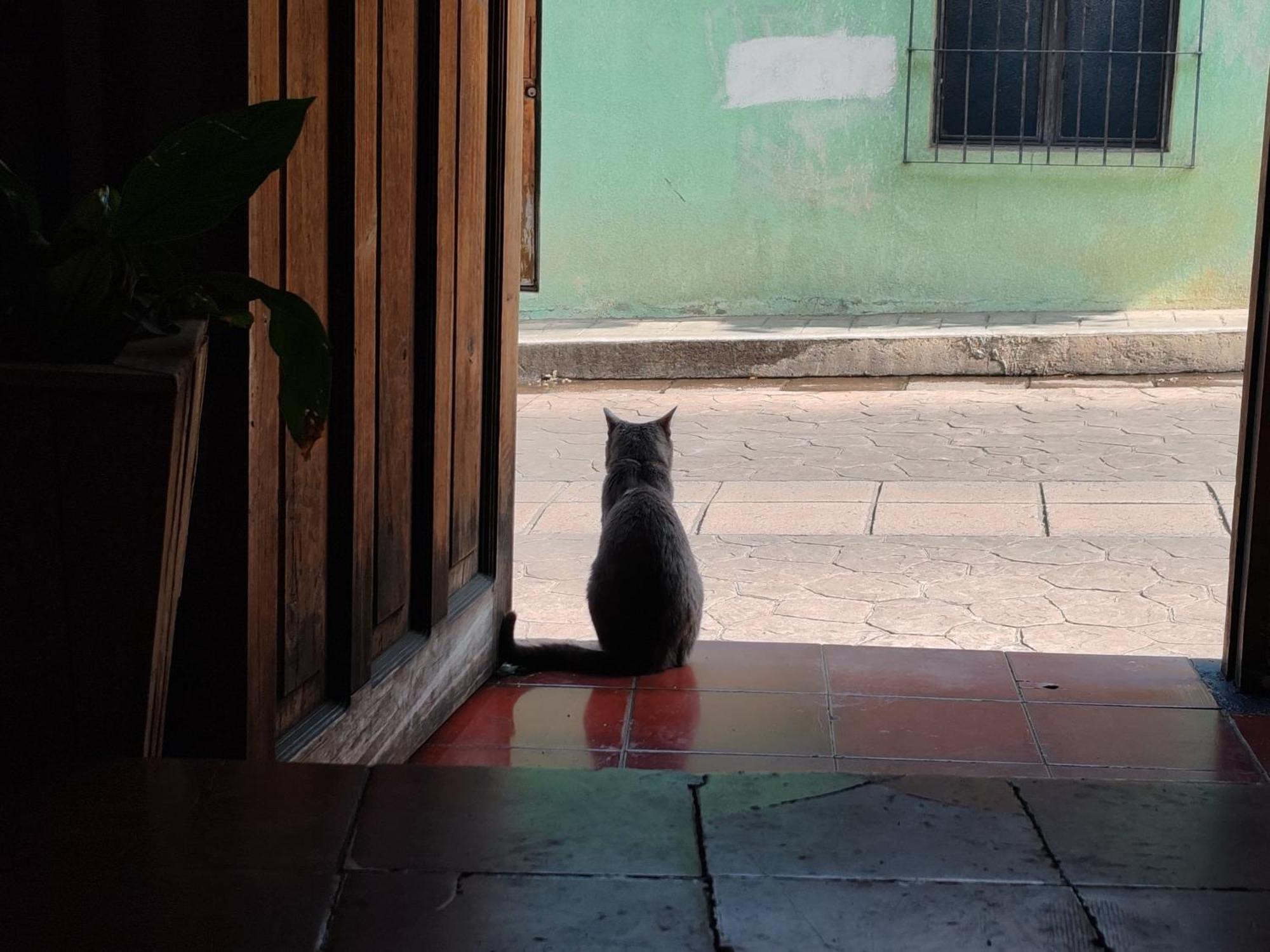 Casa Satoshi Hostel San Cristóbal de Las Casas Εξωτερικό φωτογραφία